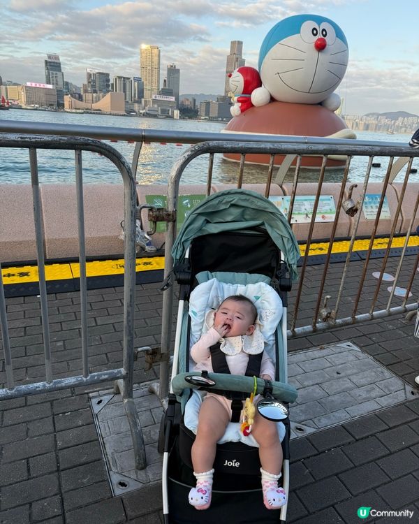 🌊 維港海上大巡遊 童年回憶大集合!✨