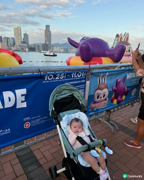 🌊 維港海上大巡遊 童年回憶大集合!✨