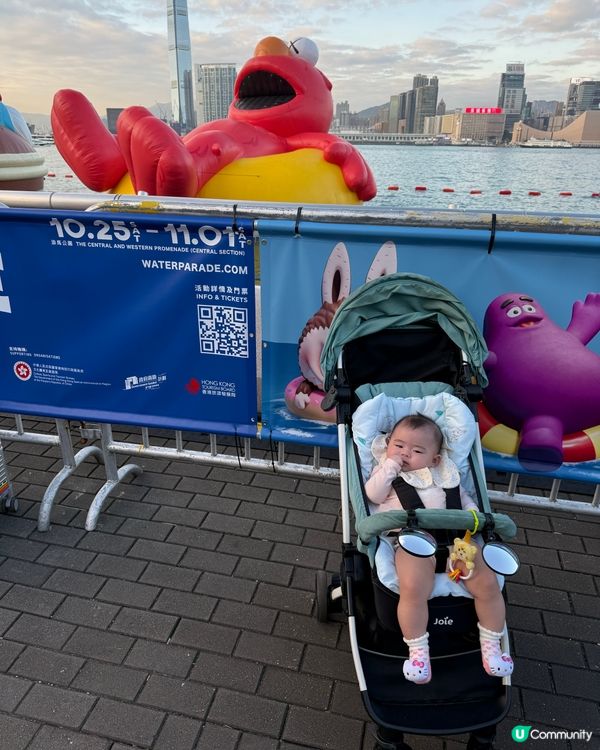 🌊 維港海上大巡遊 童年回憶大集合!✨