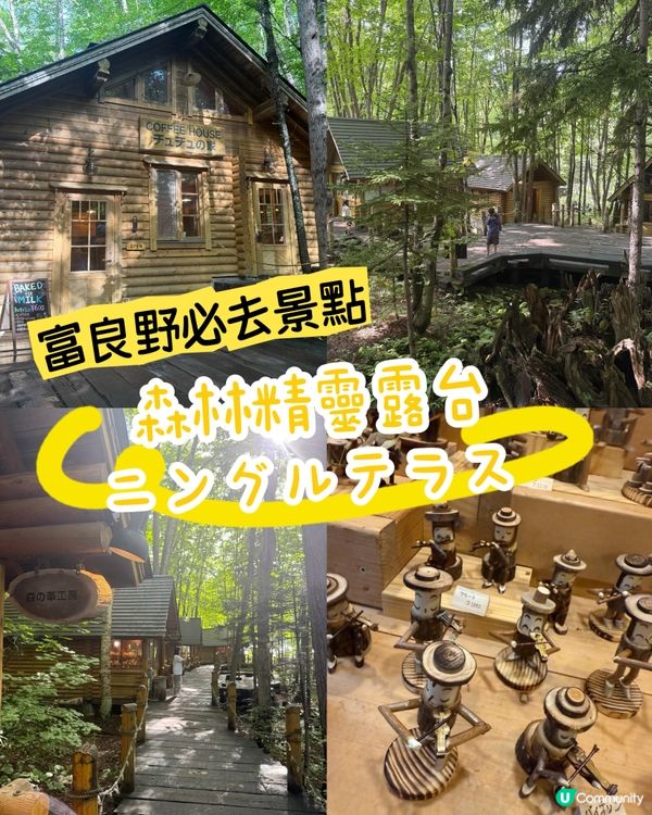 ［富良野景點］森林精靈露台🌲！北海道一日遊必去！
