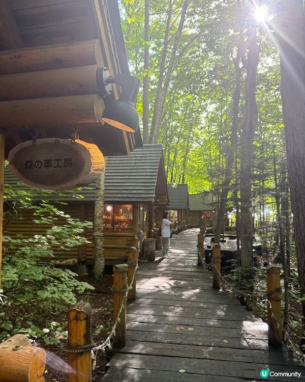 ［富良野景點］森林精靈露台🌲！北海道一日遊必去！