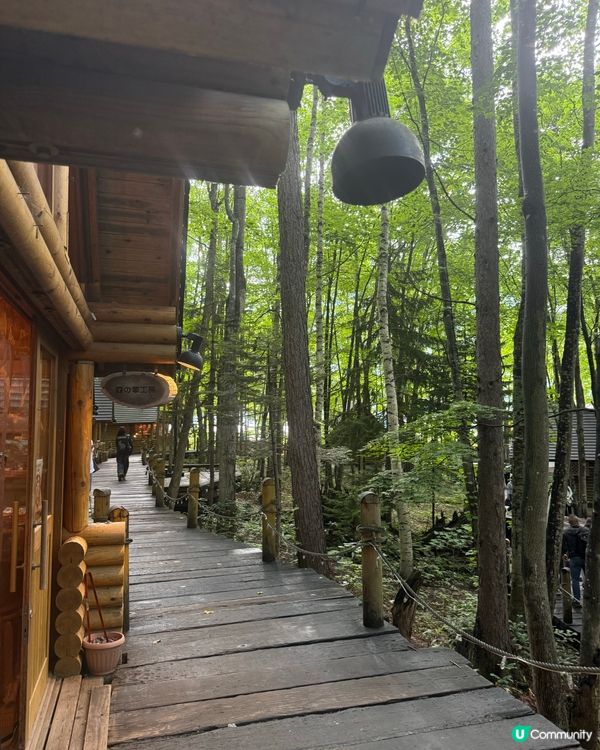 ［富良野景點］森林精靈露台🌲！北海道一日遊必去！