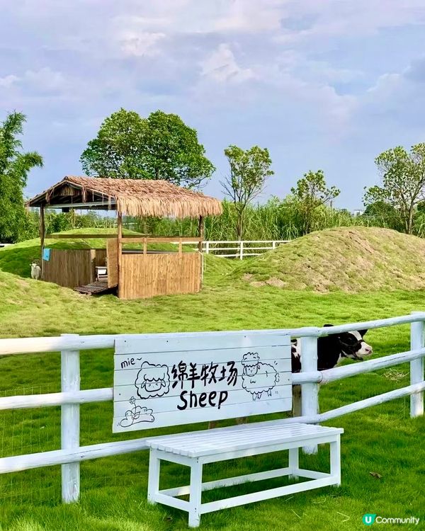 人均38蚊牧湖農場一日遊🐮🐏🏕️