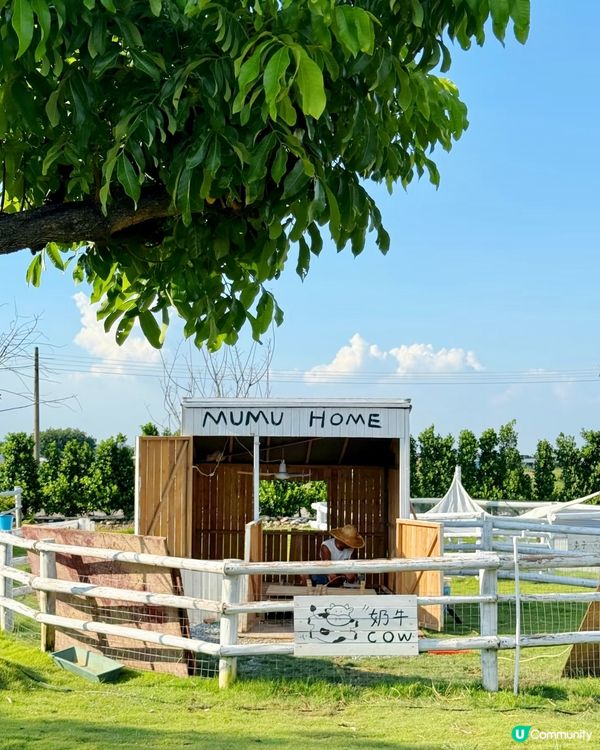 人均38蚊牧湖農場一日遊🐮🐏🏕️