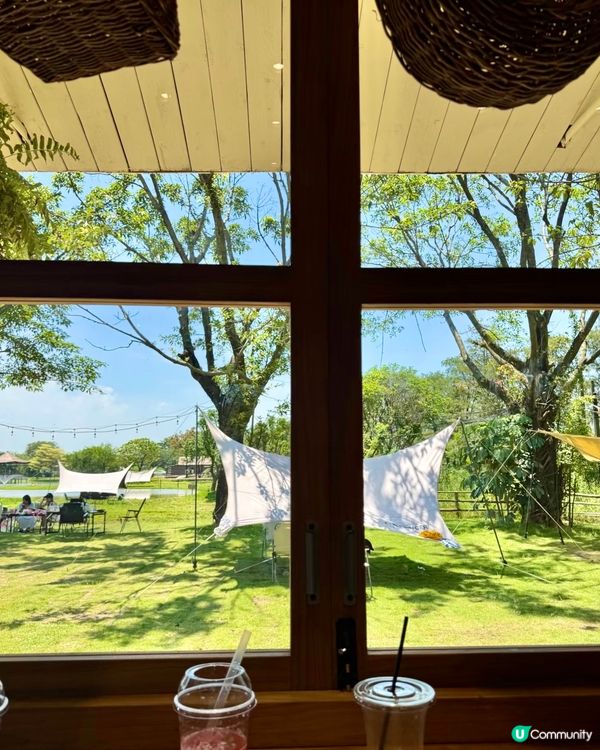 人均38蚊牧湖農場一日遊🐮🐏🏕️