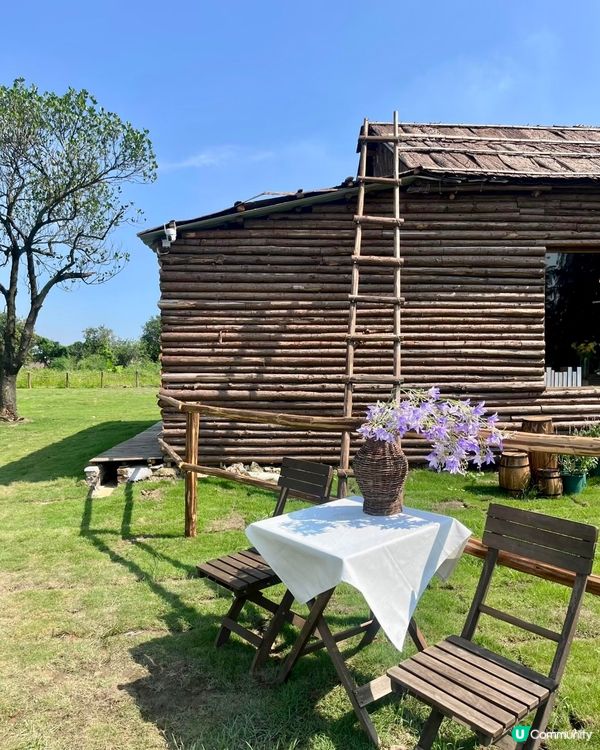 人均38蚊牧湖農場一日遊🐮🐏🏕️