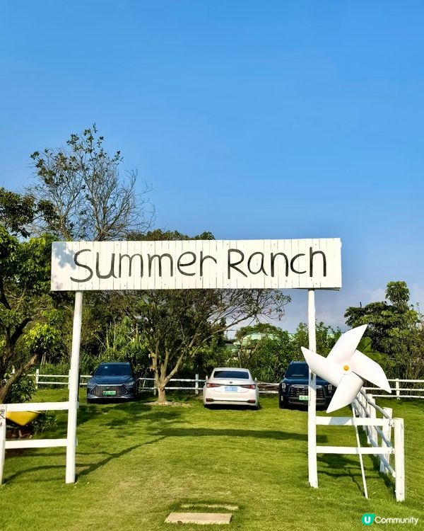 人均38蚊牧湖農場一日遊🐮🐏🏕️