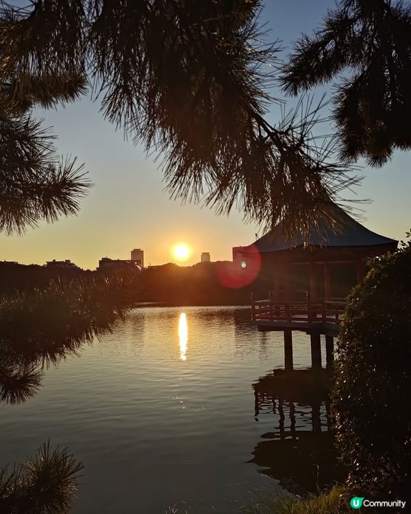 大濠公園日落🌅！日式庭園超靚😍！ 