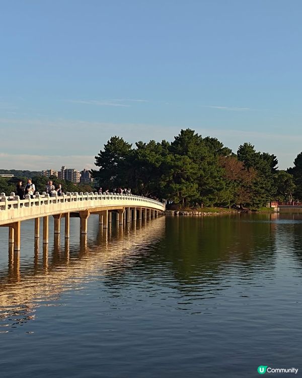 大濠公園日落🌅！日式庭園超靚😍！ 