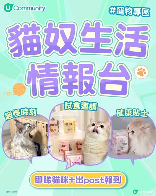【貓奴台】主子賣萌日常｜試食活動長期招募中！