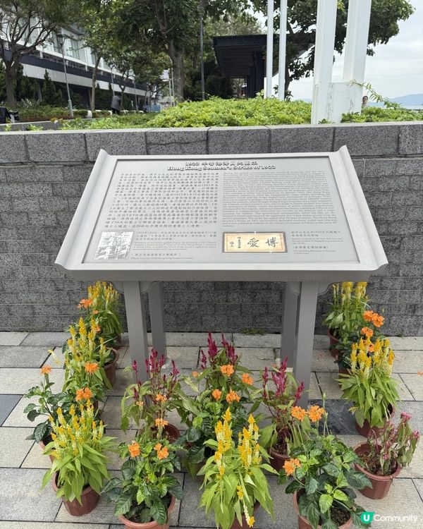 🌳🌳中山紀念公園🌳🌳