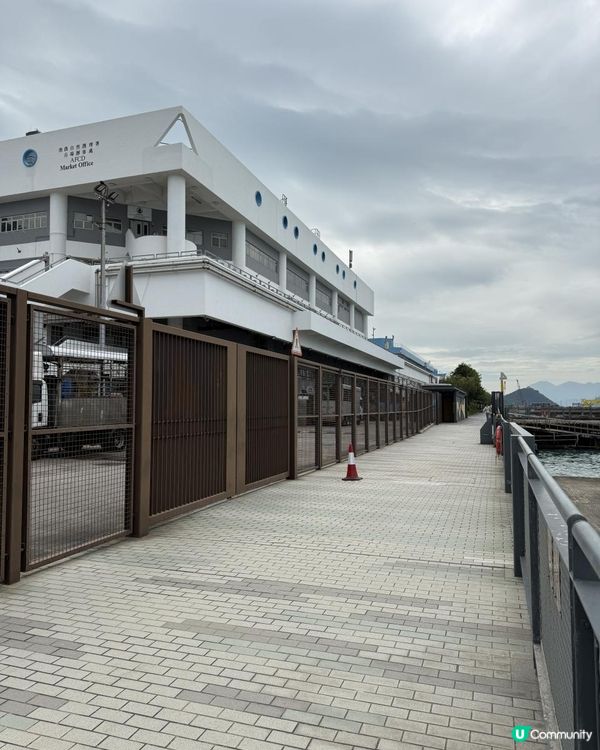 🌳🌳中山紀念公園🌳🌳