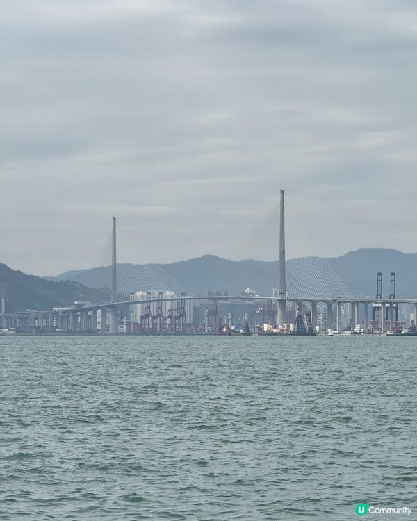 🌳🌳中山紀念公園🌳🌳