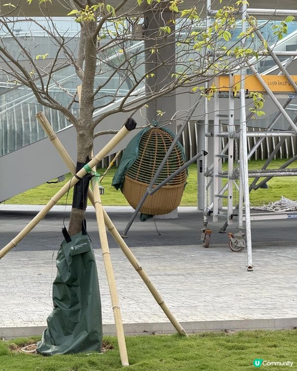 🌳🌳中山紀念公園🌳🌳