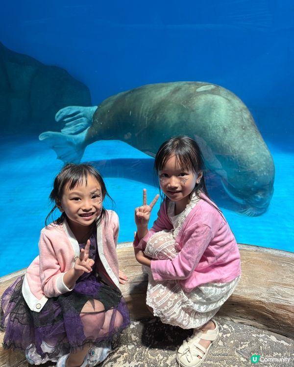 萬聖節🎃海洋公園攻略！👻 玩轉哈囉喂全園祭！🎢