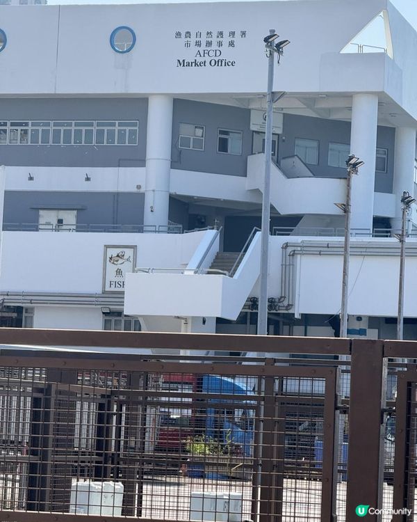 🛝 西營盤海濱公園 🛝率先睇🔍