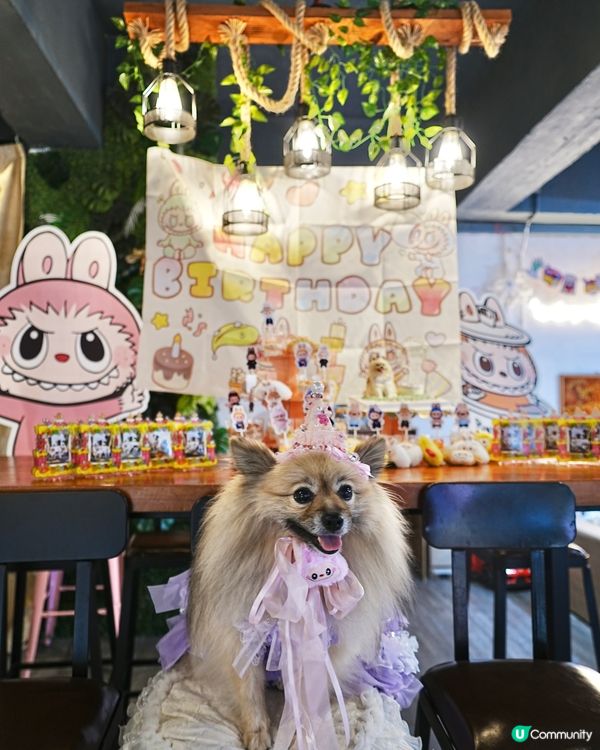 阿Bu 5歲生日會