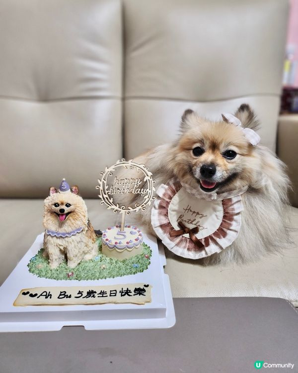 阿Bu 5歲生日會