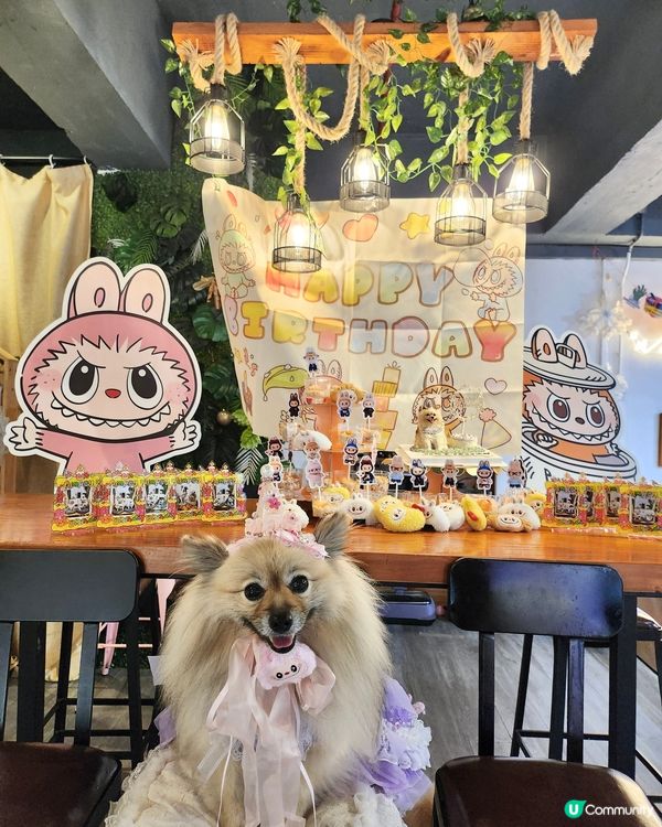 阿Bu 5歲生日會