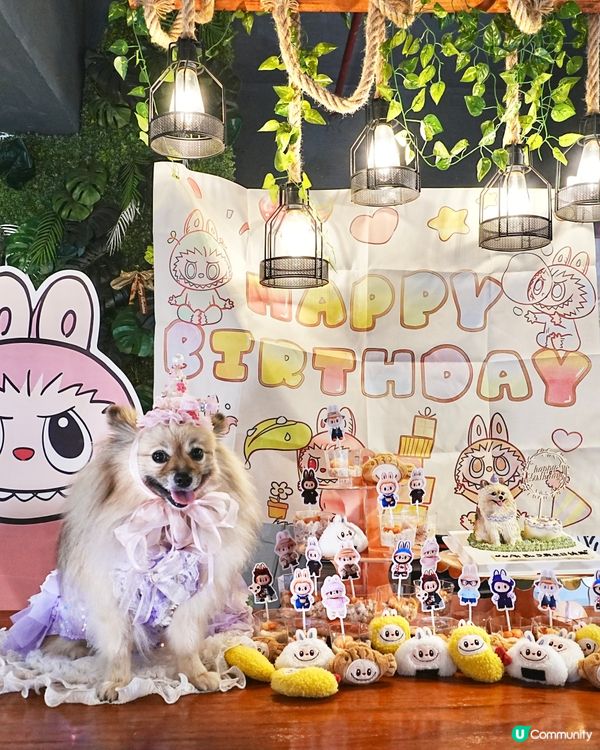 阿Bu 5歲生日會