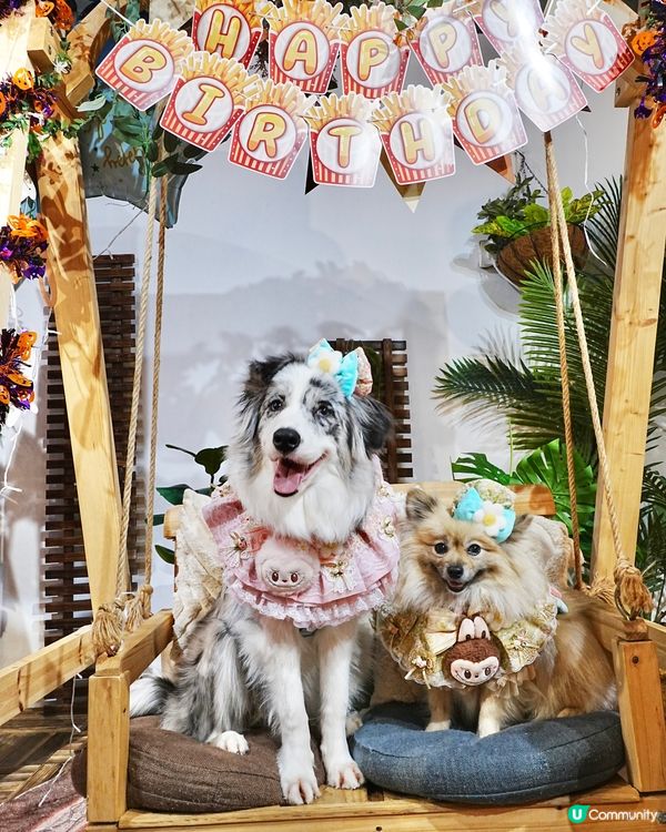 阿Bu 5歲生日會