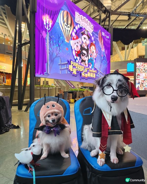 毛孩鬼馬Catwalk Show 