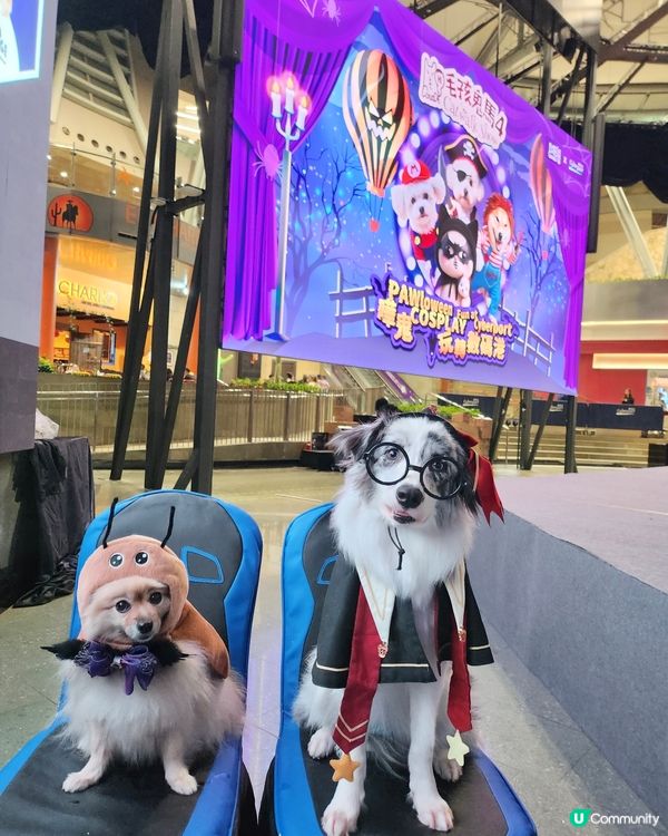 毛孩鬼馬Catwalk Show 