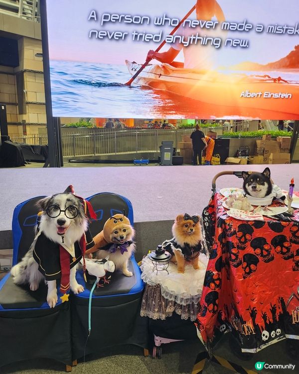 毛孩鬼馬Catwalk Show 