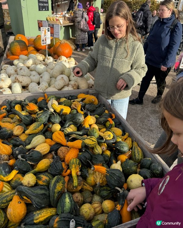 德國🇩🇪南瓜節🎃