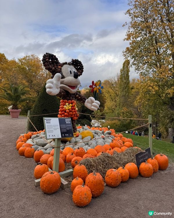 德國🇩🇪南瓜節🎃