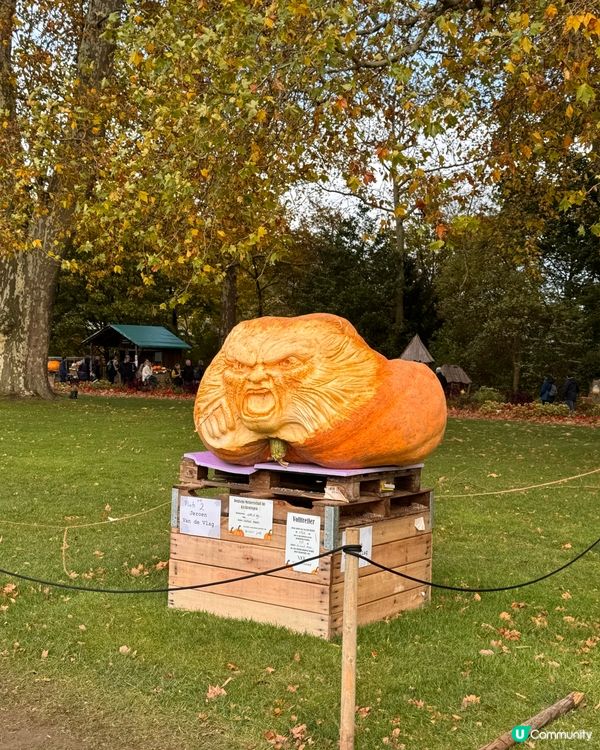德國🇩🇪南瓜節🎃