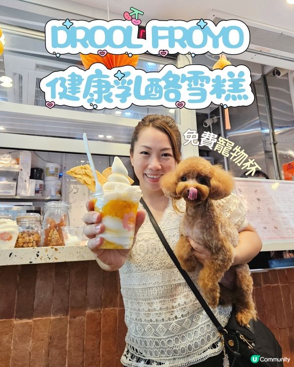 天后消暑🍦！黃金寶 純味杯😋，狗狗都有份！🐕