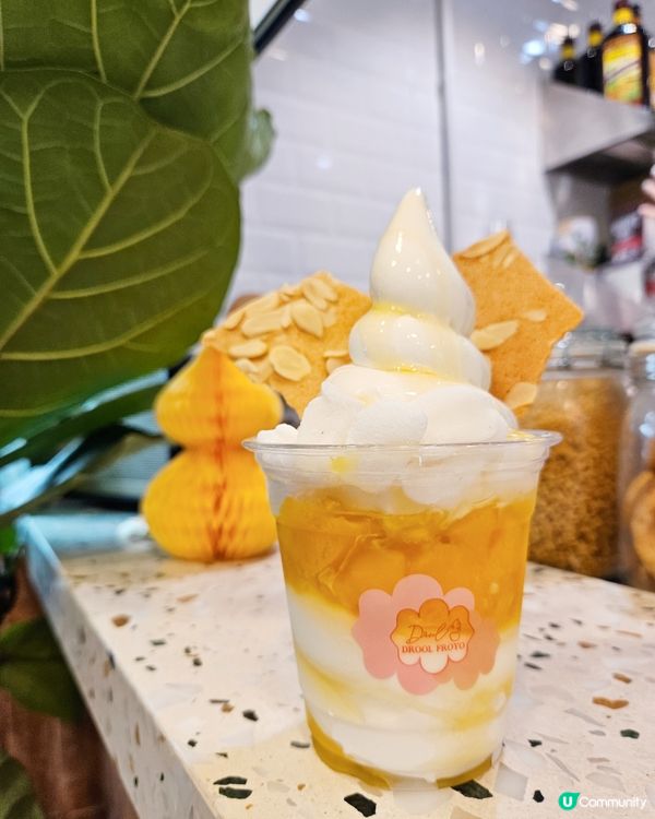 天后消暑🍦！黃金寶 純味杯😋，狗狗都有份！🐕
