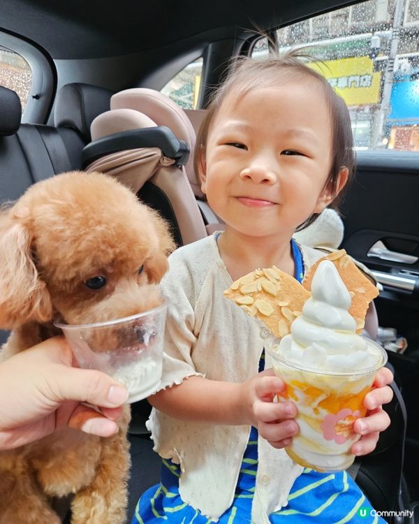 天后消暑🍦！黃金寶 純味杯😋，狗狗都有份！🐕