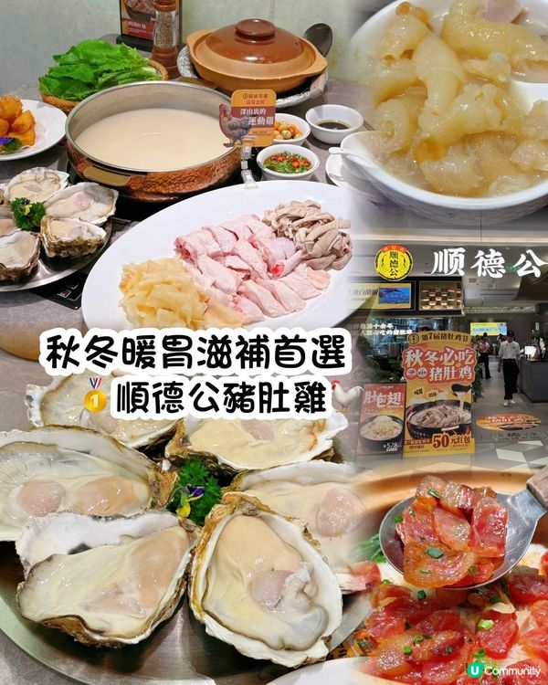 秋冬滋補必食！順德公豬肚雞🤤 深圳老字號！