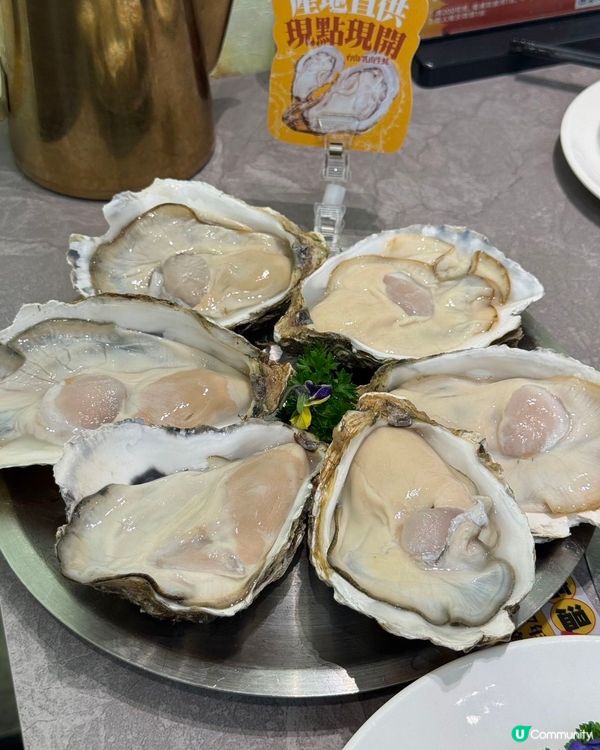 秋冬滋補必食！順德公豬肚雞🤤 深圳老字號！