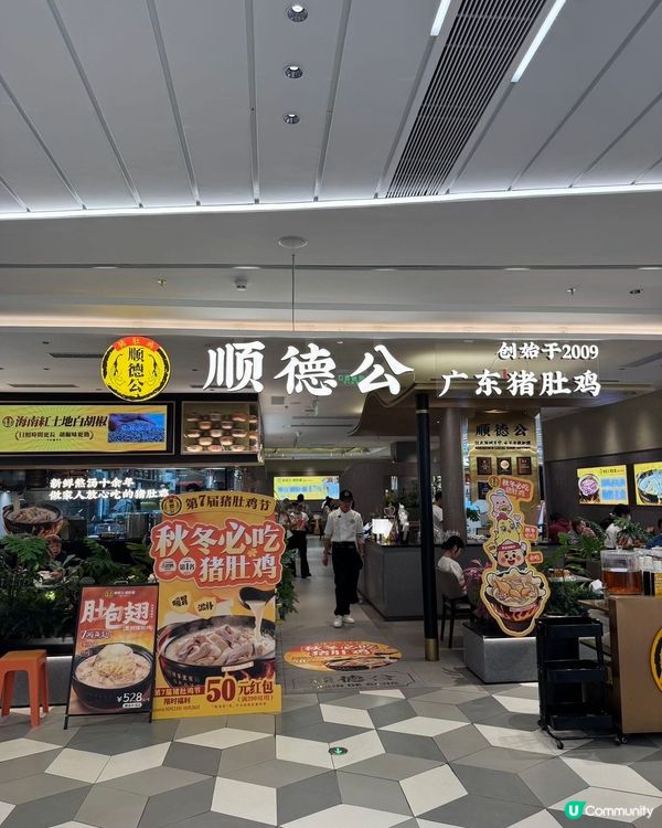 秋冬滋補必食！順德公豬肚雞🤤 深圳老字號！