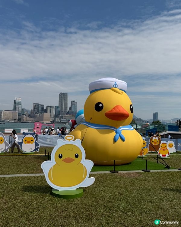 維港巡遊影相打卡一流！📸