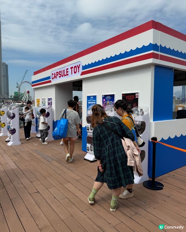維港巡遊影相打卡一流！📸