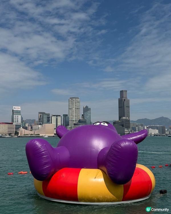 維港巡遊影相打卡一流！📸