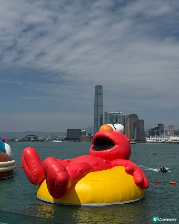 維港巡遊影相打卡一流！📸