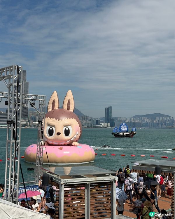 維港巡遊影相打卡一流！📸