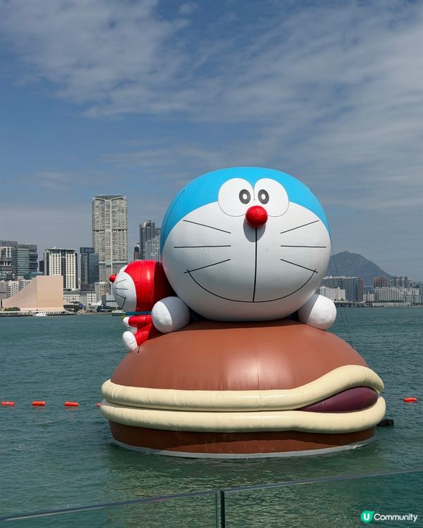 維港巡遊影相打卡一流！📸