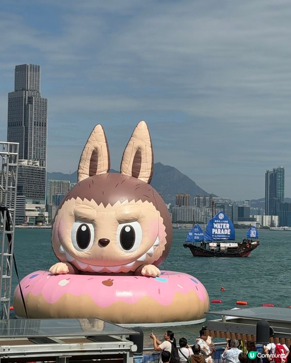 維港巡遊影相打卡一流！📸