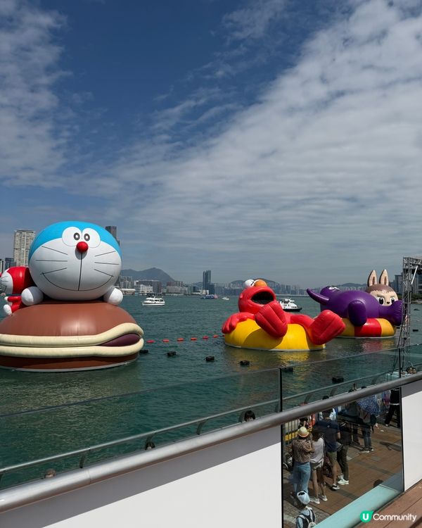 維港巡遊影相打卡一流！📸