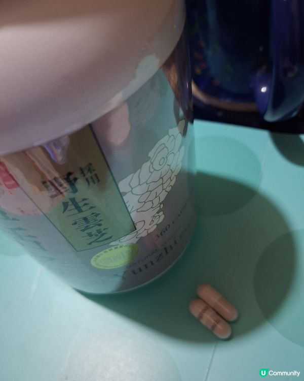 維持健靈盈活靈芝