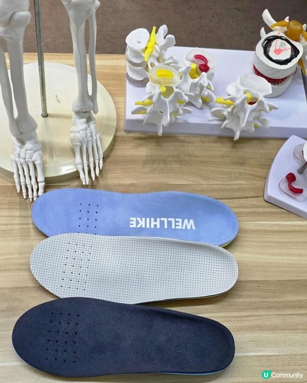 女生必試！暖宮調理🌷