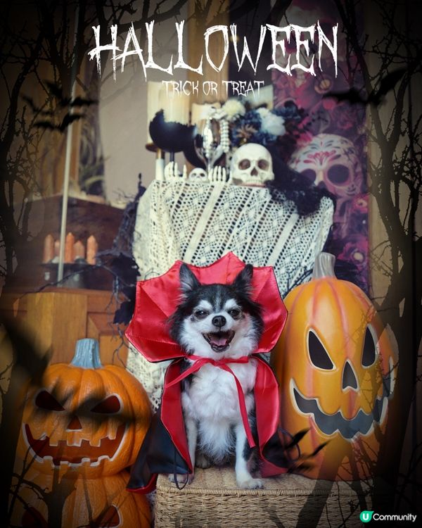 Happy Halloween 🎃 