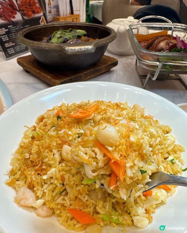 {來深井教你$1 嘆燒鵝}