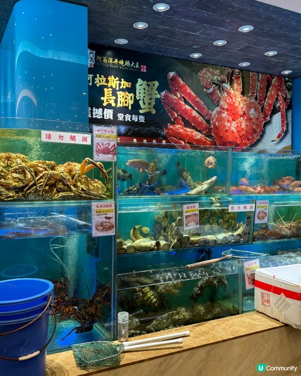 {來深井教你$1 嘆燒鵝}